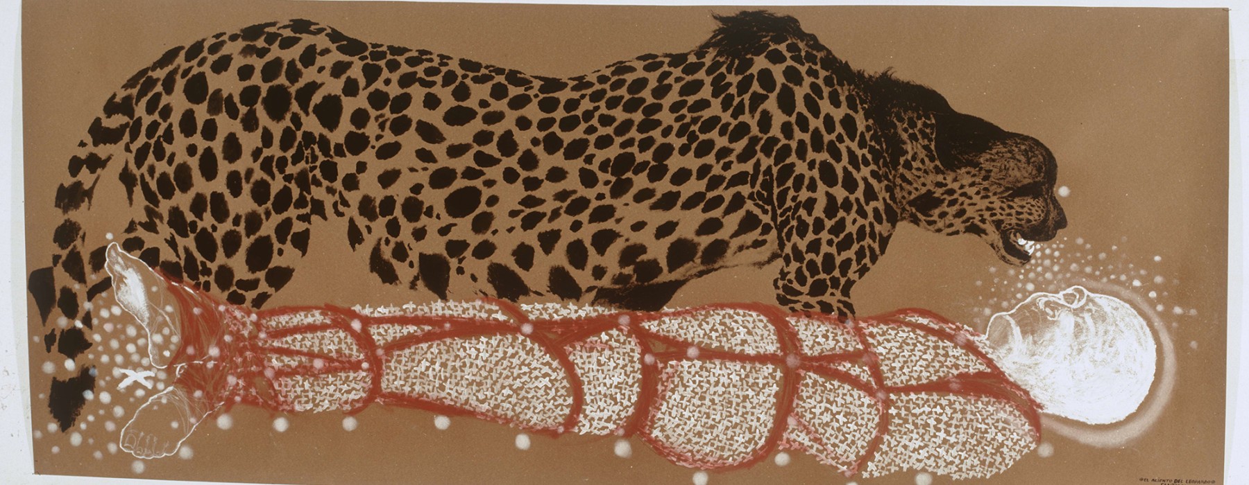 El aliento del Leopardo copyright Santiago Rodriguez Olazabal collectie Afrika Museum