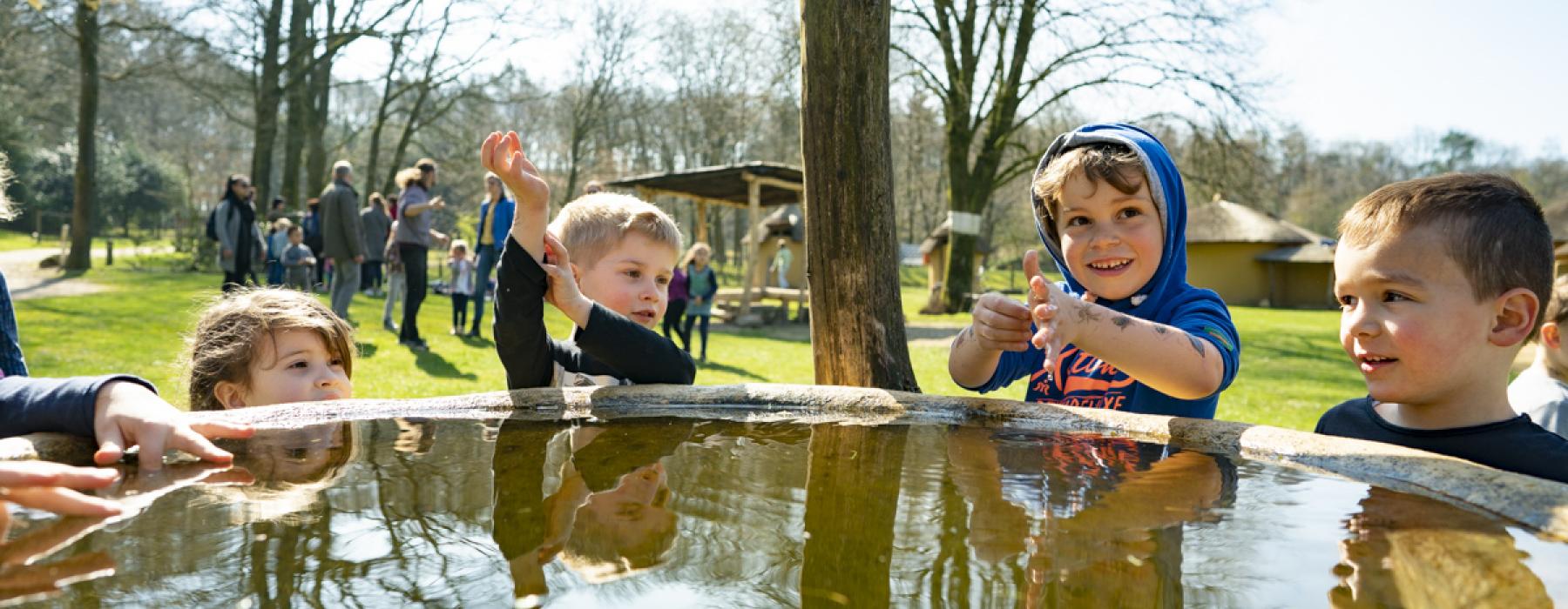 Programma op maat PO