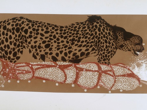 El aliento del Leopardo copyright Santiago Rodriguez Olazabal collectie Afrika Museum